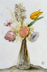 Vase en verre avec des anémones, un narcisse et une tulipe